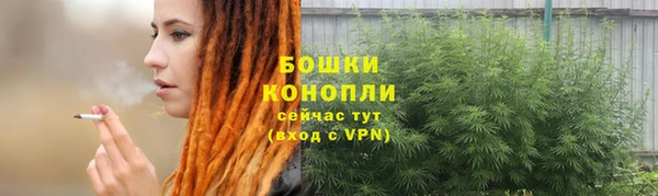 прущий лед Дмитровск