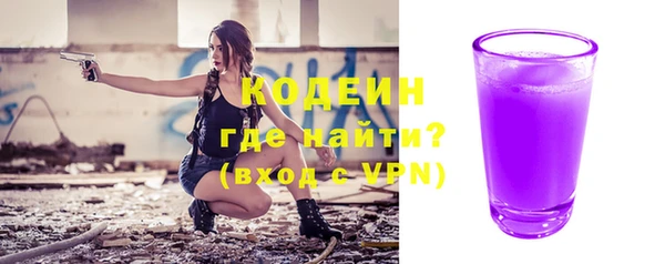 ГАЛЛЮЦИНОГЕННЫЕ ГРИБЫ Дмитриев
