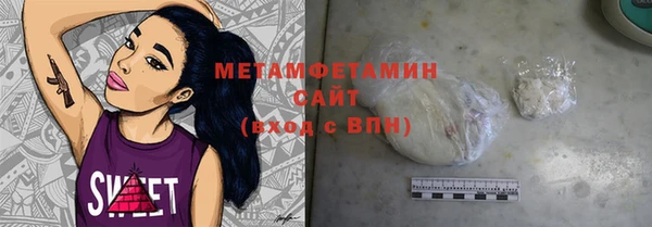 ГАЛЛЮЦИНОГЕННЫЕ ГРИБЫ Дмитриев