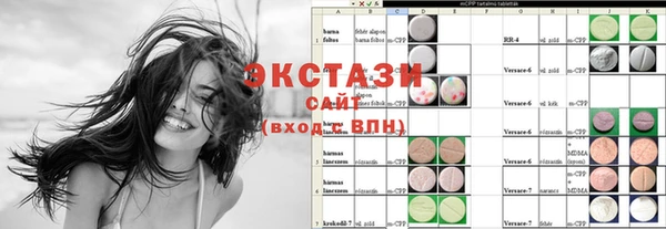 ГАЛЛЮЦИНОГЕННЫЕ ГРИБЫ Дмитриев