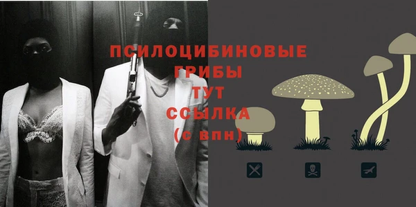 прущий лед Дмитровск