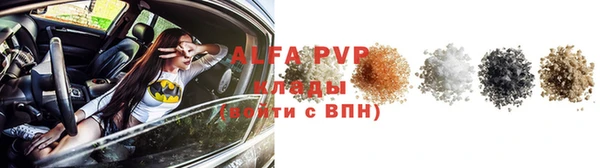 ГАЛЛЮЦИНОГЕННЫЕ ГРИБЫ Дмитриев