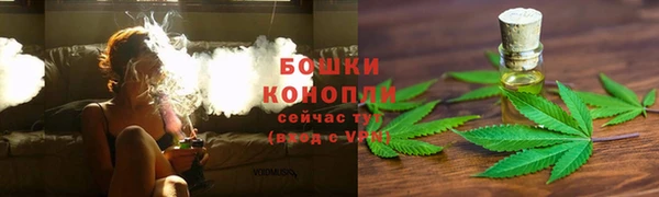 крисы Дмитров