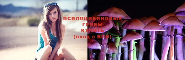 ГАЛЛЮЦИНОГЕННЫЕ ГРИБЫ Дмитриев