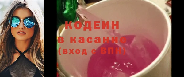 ГАЛЛЮЦИНОГЕННЫЕ ГРИБЫ Дмитриев