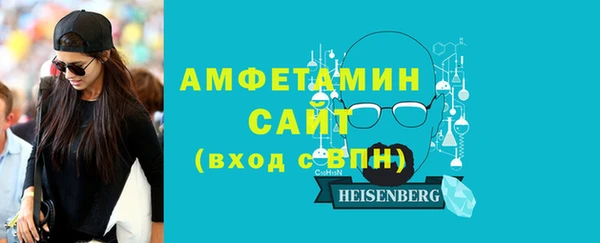 ГАЛЛЮЦИНОГЕННЫЕ ГРИБЫ Дмитриев