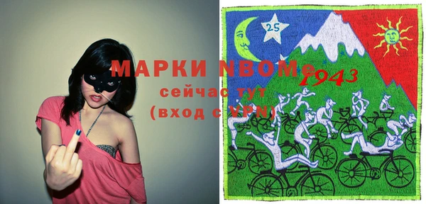 ГАЛЛЮЦИНОГЕННЫЕ ГРИБЫ Дмитриев