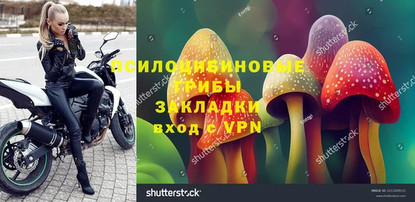 прущий лед Дмитровск