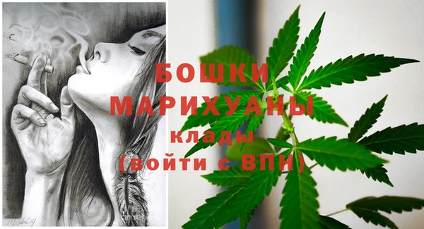 крисы Дмитров