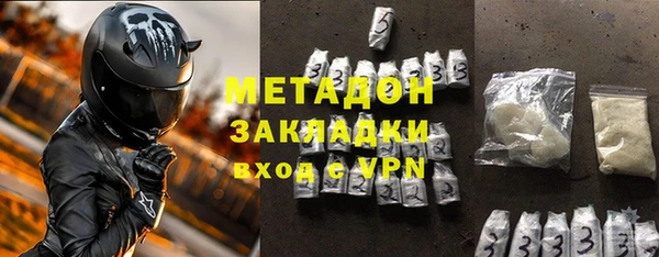 ГАЛЛЮЦИНОГЕННЫЕ ГРИБЫ Дмитриев